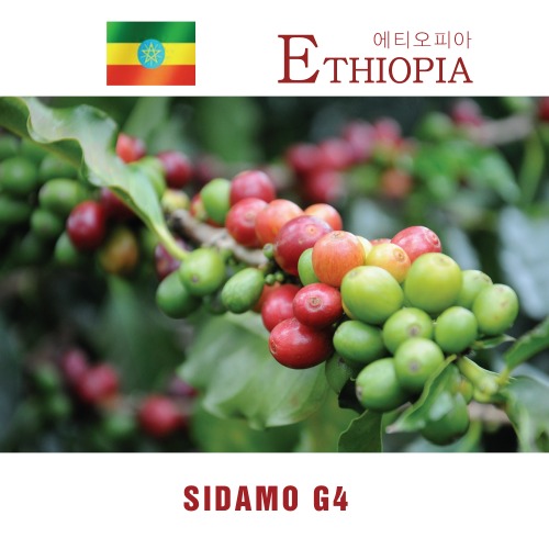 [세계산지커피]에티오피아 시다모 G4. 200g