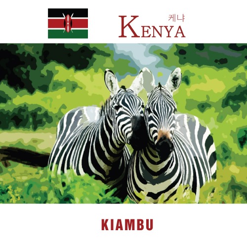 [세계산지커피]케냐 키암부 200g